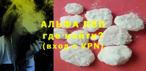прущие крисы Бородино