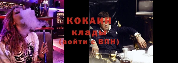 прущие крисы Бородино
