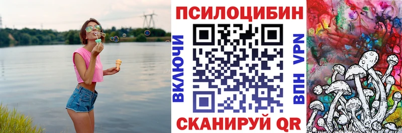 Купить  Новомичуринск  Галлюциногенные грибы мицелий 