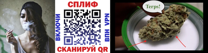 Конопля ГИДРОПОН  Купить  Новомичуринск 